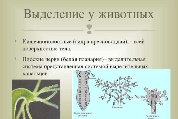 Где найти ссылку на кракен