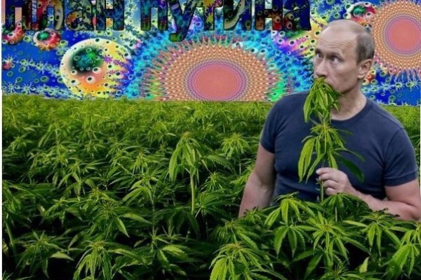 Кракен сайт это