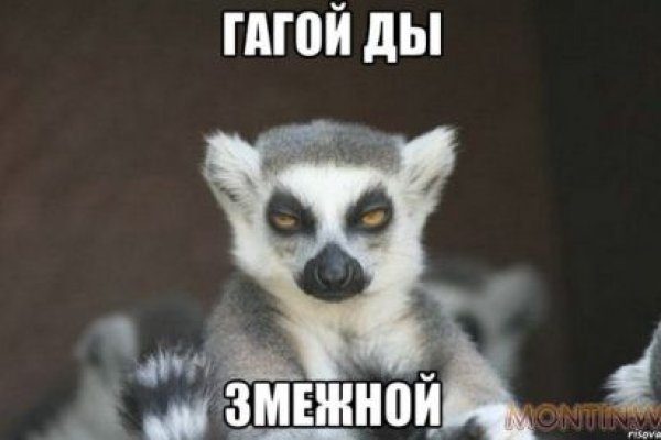 Ссылка на кракен тор