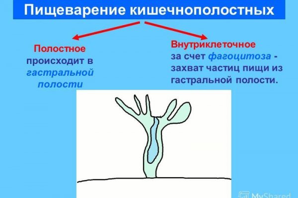 Kraken onion вход