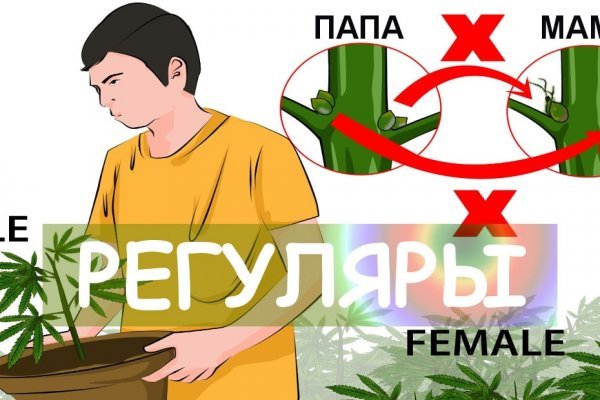 Сайт кракен что это такое