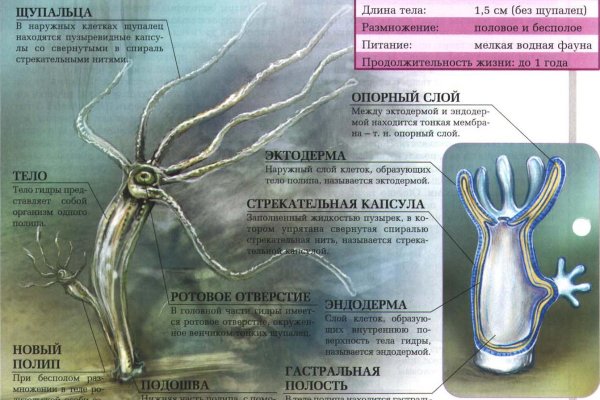 Кракен маркетплейс ссылка krakenat2krnkrnk com