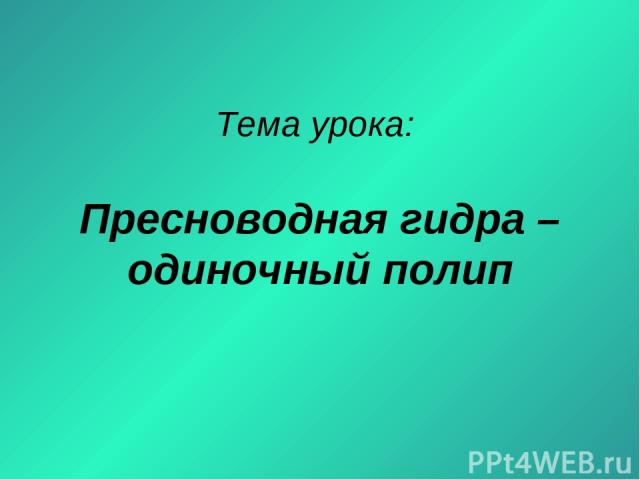 Кракен торговая
