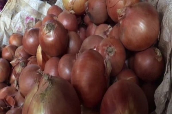 Кракен пишет пользователь не найден