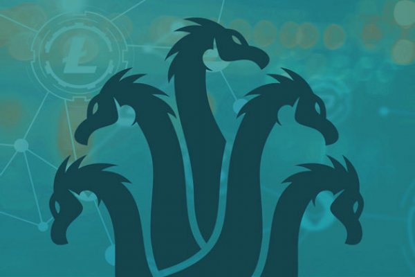 Kraken 20at